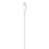 Apple USB-C to Lightning Cable 2.0 (1m)